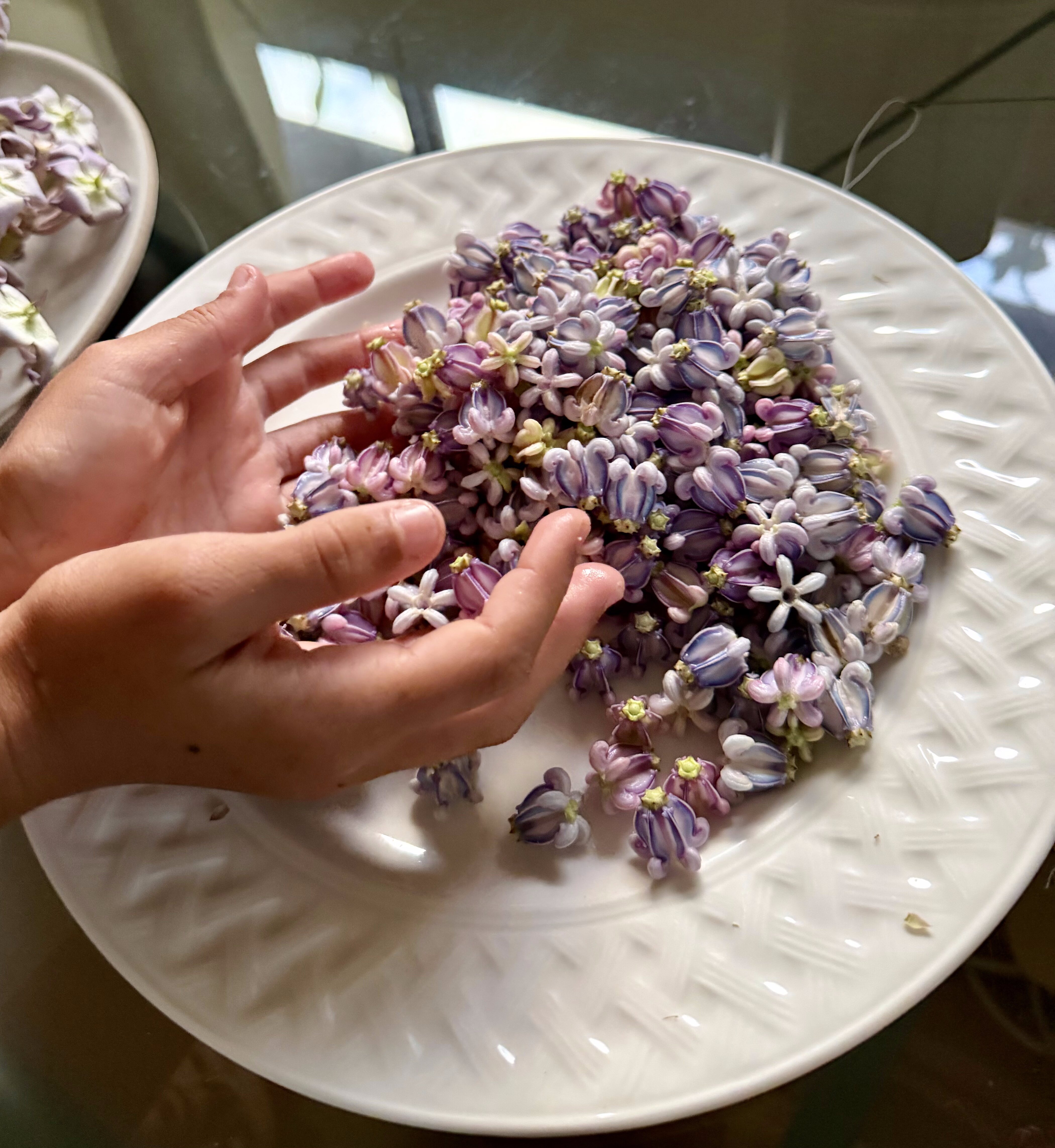 Gaia's hands stringing a lei