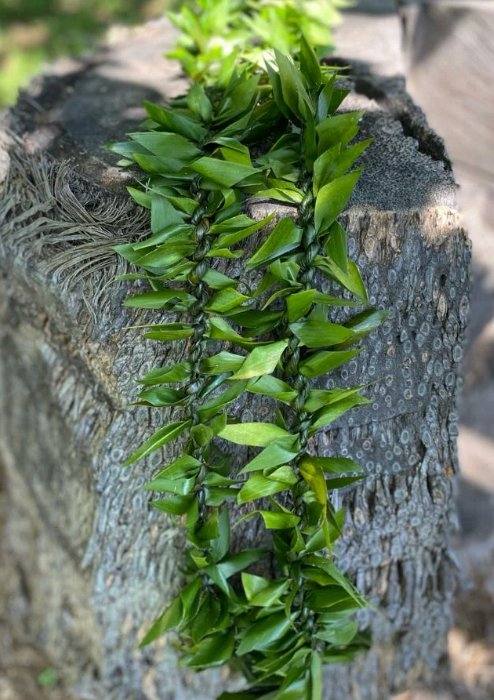 Ti leaf lei