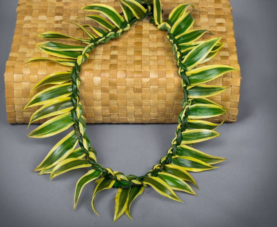 Song of India lei on basket